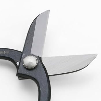 値下げ不可 有次 花鋏 上 11cm ハサミ 鋏 はさみ 生け花 値下げ不可 有次 花鋏 上 11cm ハサミ 鋏 はさみ 生け花 - メルカリ