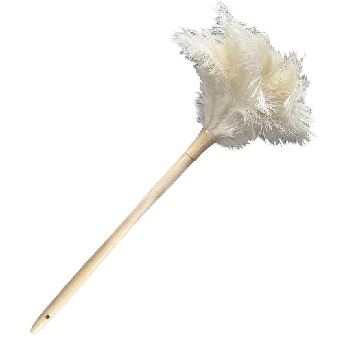 Image of 19.7 Inch Ostrich Feather Duster - Soft Dusting Brush for Home, Office, and Furniture Cleaning (Off White)
