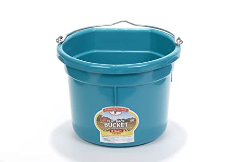 Little Giant Flat Back Plastic Animal Feed Bucket | Animal Feed Bucket with Metal Handle | Horse Stall Feeding and Watering Supplies (Teal 8 Quart)