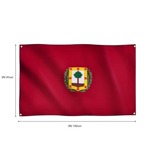 Runesol Vizcaya Flag, 91x152cm, 3ft x 5ft, 4 Grommets, Eyelet In Every Corner, Spanish Regional Flag, Biscay - Image 2