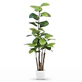 MAIA SHOP Ficus artificiale 150 cm, pianta finta da interno Ficus Elastica iperrealistica, albero decorativo elegante per casa ufficio e hotel