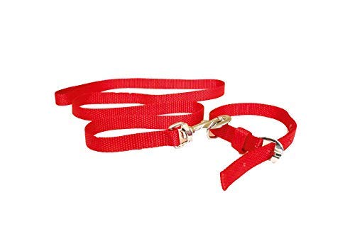 PSK PET MART Nylon Collar and Leash Set (Size - Small) for Small Dogs - Like Lhasa Apso, Beagle, Pug,Pomeranian etc (Color - RED) Width- 3/4 inch. (B08H18H78F) Amazon Price History, Amazon Price Tracker