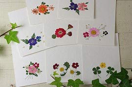 押し花技法書セット 8冊 押し花技法書セット 8冊