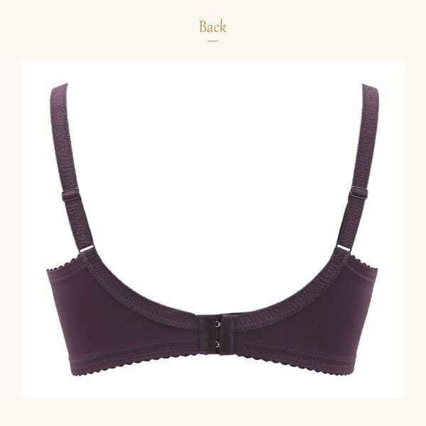 ウイング Wing レシアージュ Lesiage PB5010シリーズ フルカップ ブラジャー DEF PB5010 大きいサイズ