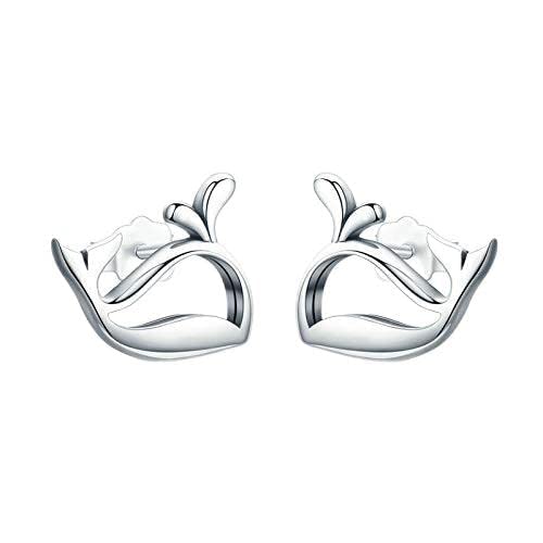 Boucles d'oreilles baleine en argent 925 sterling pour femme