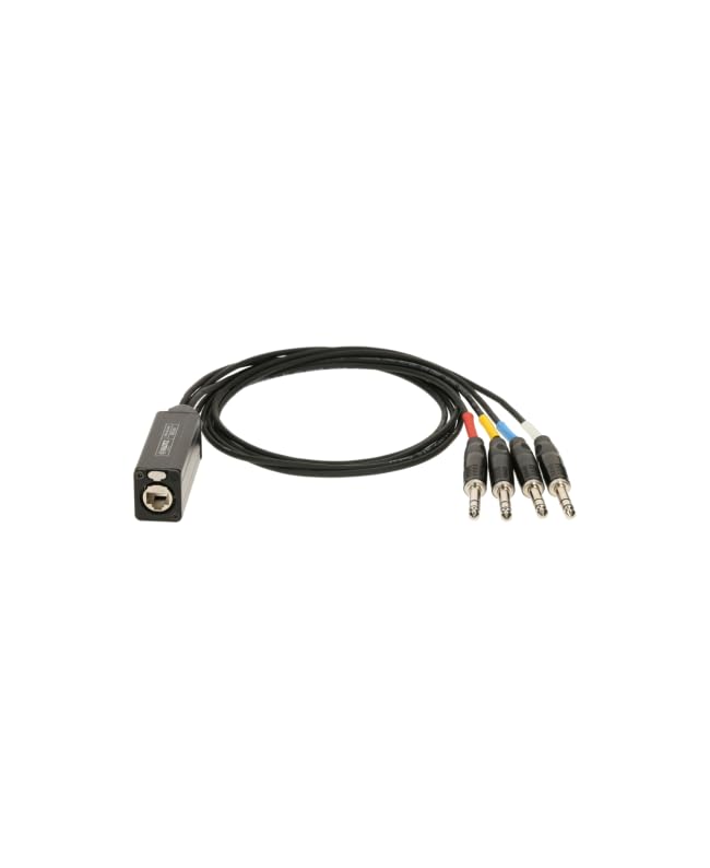 Klotz CLTRS-MINI4 CATLink 4-Channel EtherCON to Male TRS Adapter