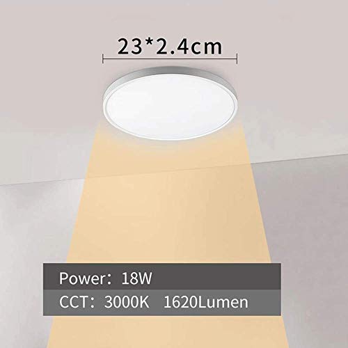 Plafonnier LED rond 18W luminaire de plafond garage et porche extérieur