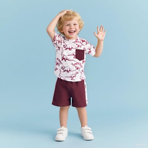 2-7 T Toddler Baby Boy Outfits Shorts Sleeve Summer Beach Cocos T Shirts + Shorts Clothing Set3