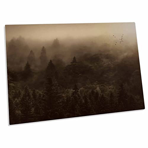 3dRose Misty Woods View Desk Pad