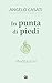 Meditazioni. Commento Al Lezionario Festivo Secondo Il Rito Ambrosiano Anno Liturgico A - 3