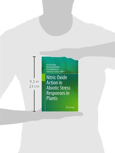 Nitric Oxide Action in Abiotic Stress Responses in Plants