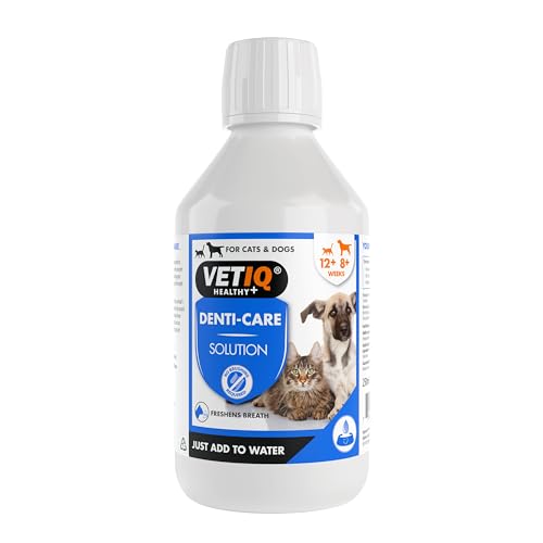 VETIQ Denti-Care Solution For Cats & Dogs Simply Add to Drinking Water to Reduce Dental Plaque and Freshen Bad Breath 250 ml (Pack of 1)