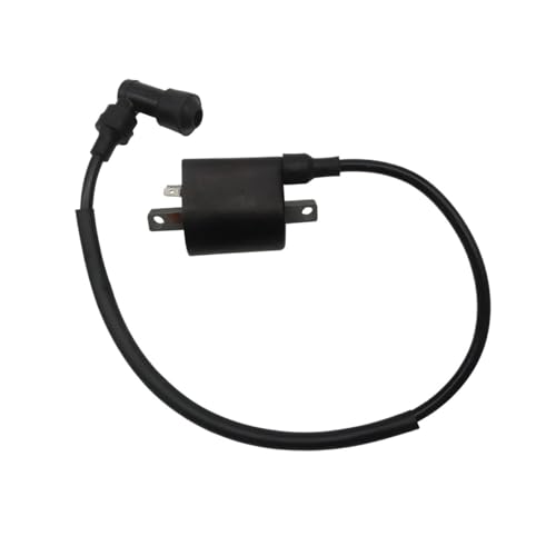Bobina de encendido de alto voltaje 22012 para una chispa estable en ATV y Quad