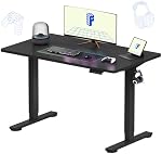 FLEXISPOT EN1 One Piece Standing Desk 48 x 24 Inches Electric Stand Up Desk Height Adjustable Desk for Home Office (Black Frame + Black Top)