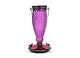 Perky-Pet 9102-2 Diamond Wine Top-Fill Glass Hummingbird Feeder Purple 24 oz Capacity