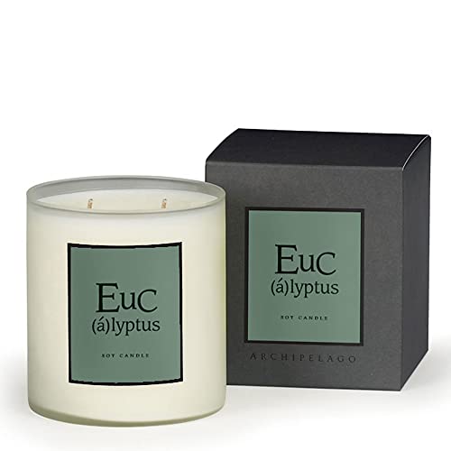 Archipelago Botanicals Eucalyptus Boxed Candle | Wild Eucalyptus, Palm Leaf And Musk | Clean Soy Wax Blend Burns 90 Hours (14 Oz) #TOP23