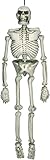 AMSCAN Hanging Plastic Skeleton, Halloween Props, 5' H