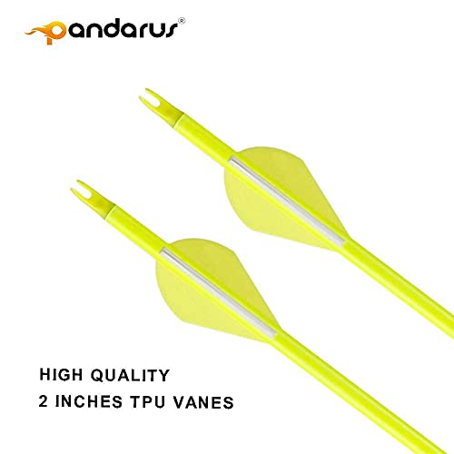 Pandarus 30/32" Inch St0.003 Hunting Arrows For Compound & Recurve Bow,100% Carbon Archery Target Arrows With Removable Tips For Accurate Hunters & Bowhunters (Pack Of 12)-32 Inch Yellow Sp400 #TOP7