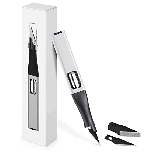 EHDIS Taglierino di Precisione con 10 Lame di Olio Antiruggine, Cutter di Precisione con Manico per Riporre la Lama, Lega di Alluminio, per Hobby Creativi, Scrapbooking, Scultura, Argento