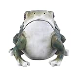 Unomor Adorno De Rana Realista Estatua De Sapo Modelo De Rana Estatuilla Verde Y Terrario Esculturas para Exteriores Figuras De Ranas De Yoga Decoración De Escritorio Al Aire