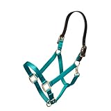 ARMA Shires Nylon Halter with Leather Head Strap (Teal, Full)