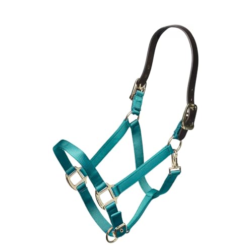 ARMA Shires Nylon Halter with Leather Head Strap (Teal, Full)