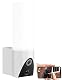 VisorTech LED-Außenwandleuchte mit Kamera