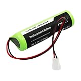 Caractéristiques de la batterie : tension : 1,2 V, capacité : 2000 mAh/2,4 Wh, taille : 49,60 x 16,36 x 14,40 mm, poids : 76,2 g.