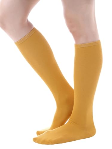 [haoa]  nC\bNX  F CG[}X^[h { I[KjbNRbg fB[XC G\bNX22?24cm