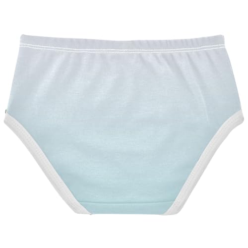 Joisal Magnolia Aqua Gradient Ombre Cute Panties Girl Toddler Girls Underwear Cotton Fun Print Briefs Girls Undies 2t2