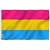 ANLEY Fly Breeze 3×5 Foot (90×150 cm) Pansexual Pride Flag – Levendige kleuren en UV-bestendigheid – Canvaskop en dubbel…