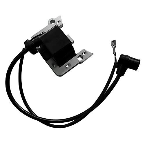Realman Ignition Coil Module