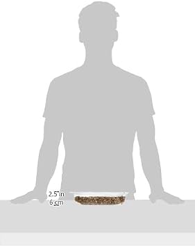 Webbox Cat Grass Kit 120g