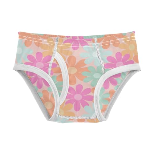 Boys' Exclusive Briefs Toddler Underwear 95% Combed Cotton Boxerbriefs 2T Pastel Flower Pattern 39