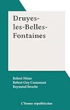  Druyes-les-Belles-Fontaines
