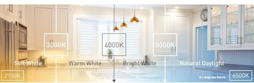 Ecosmart 8-Pack A19 - 60 Watt Equivalent Daylight (5000K) LED Light Bulb