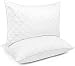 Kopfkissen 2er Set Waschbar Innenkissen Kissenfüllung, Kissenbezug aus 100% Baumwolle | Ökotex | Kissen für Allergiker füllkissen Bettkissen Schlafkissen weiß Pillow (Weiß - 2 Stück, 50 x 70 cm)