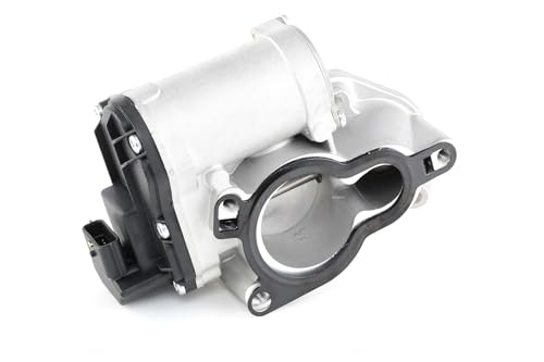 RIDEX 1145E0107 Válvula EGR con junta compatible con OPEL Vivaro A Combi X83 Vivaro A Furgón X83 Movano B Furgón X62 Movano B Bus X62 Movano B Caja/Chasis X62 Vivaro A Caja/Chasis X83
