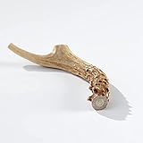Buck Bone Organics Gluten Free, Long Lasting Whole Deer Antler Bone Chew Treats for Dogs- Premium,...