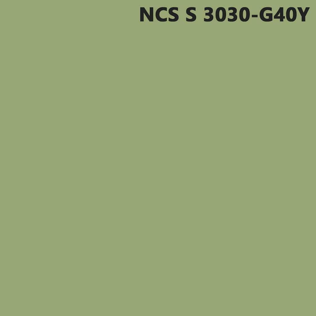 Pintura de pared verde 2,5 L para interiores, impresión de pared, secado rápido, sin olor, lavable, para pared, techo, salón, baño, renovación