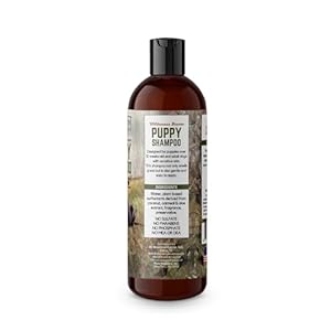 Puppy-Shampoo-Gentle-Effective-Refreshing-Natural-Plant-Based-Soothing-Formula-for-All-Breeds-Puppies-12-fl-oz - Cucciolini Doodles   Puppy-Shampoo-Gentle-Effective-Refreshing-Natural-Plant-Based-Soothing-Formula-for-All-Breeds-Puppies-12-fl-oz