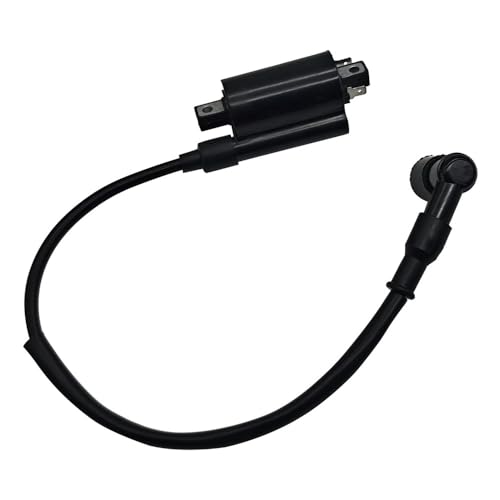 Bobina de encendido con cable para quad f-Shen G300 y H300 recambio LU019139