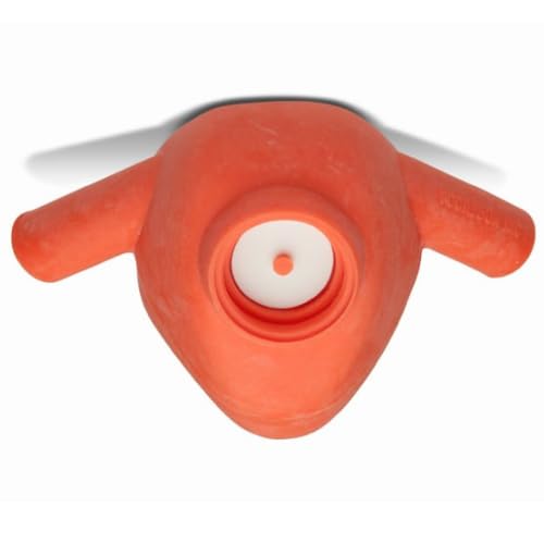 Accutron 33016-10 Personal Inhaler Plus Nasal Hoods Medium Outlaw Orange 24/Pk