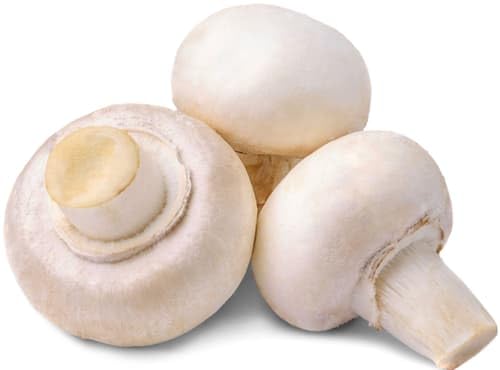 Champignons Weiß in der Schale (0.25 kg)