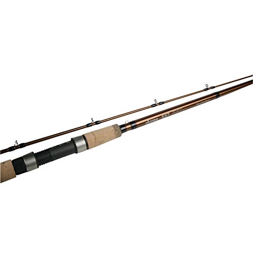 2 speed reel shimano Shimano