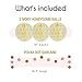 EPIQUEONE Tissue Paper Pom Poms & Party Lanterns Set - Easy-Setup Birthday Decor - Reusable Wedding Decorations - Includes Tissue Paper Garland & Honeycomb Decor - 22-Piece Set, Pink/Ivory/Gold