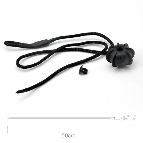 Sangle de fixation pour tablette résout le problème de plage Skoda