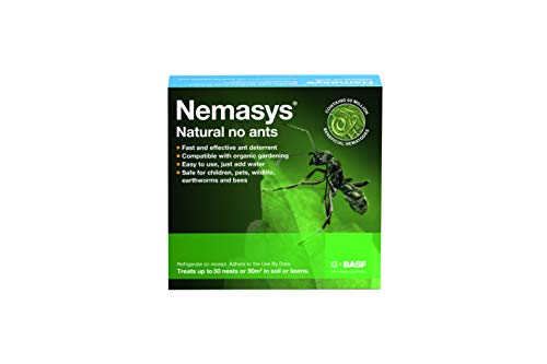 nemasys no ant large pack treating 50sqm