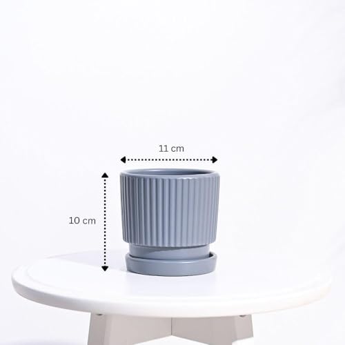 Image of UGAOO Roma Ceramic Pot |Indoor Ceramic Planter for Home, Office, Garden, Balcony - Gray (4 Inch)