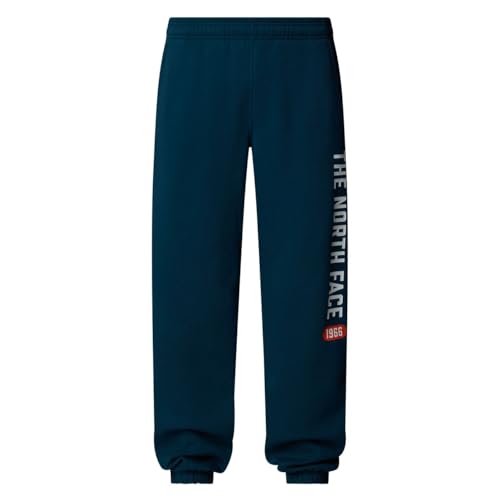 Pantalon d'hiver The North Face Varsity Graphic homme pour le confort